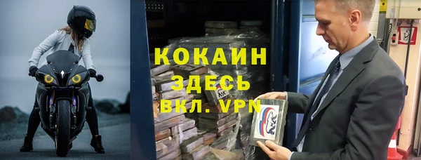 молекула духа Богданович