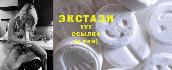 молекула духа Богданович