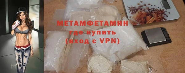 молекула духа Богданович