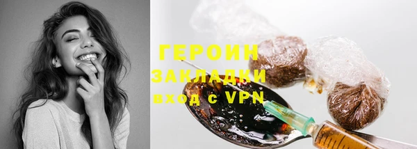 молекула духа Богданович
