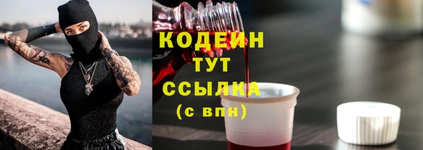 молекула духа Богданович