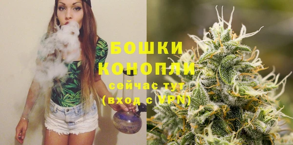 молекула духа Богданович