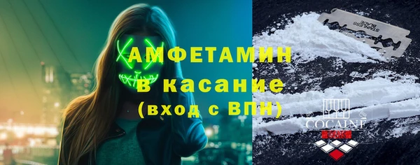 молекула духа Богданович