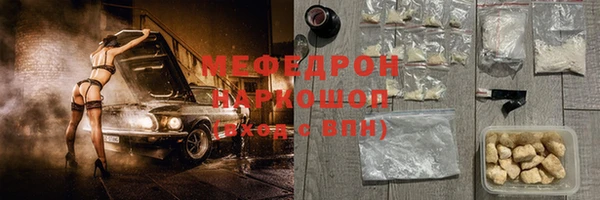 молекула духа Богданович
