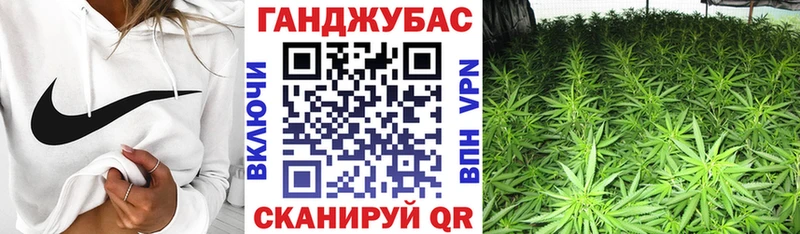 Бошки Шишки ГИДРОПОН  наркотики  Кострома 